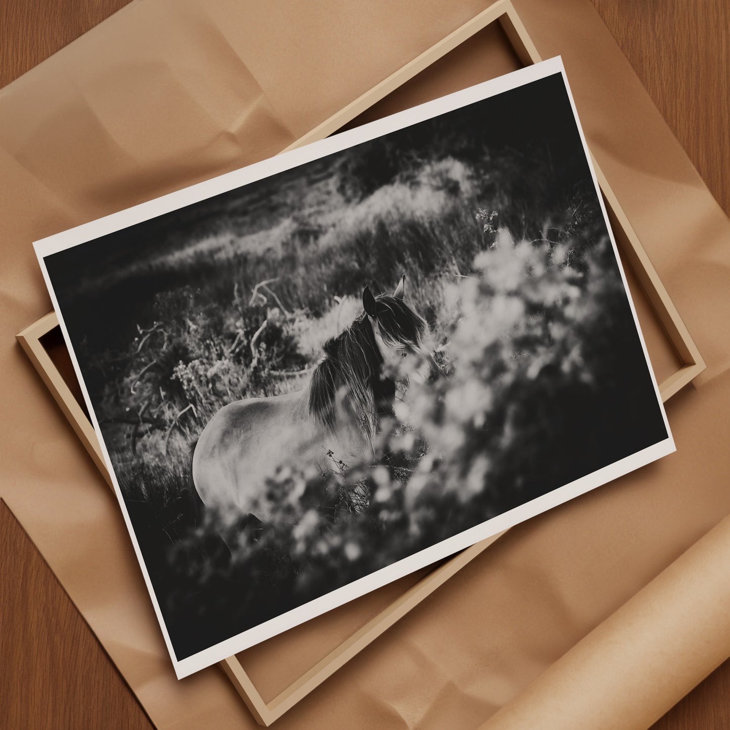 Wild Natives 3