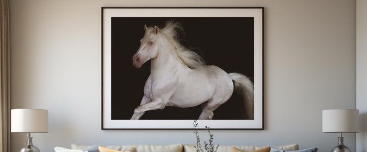 Fragments of the Herd