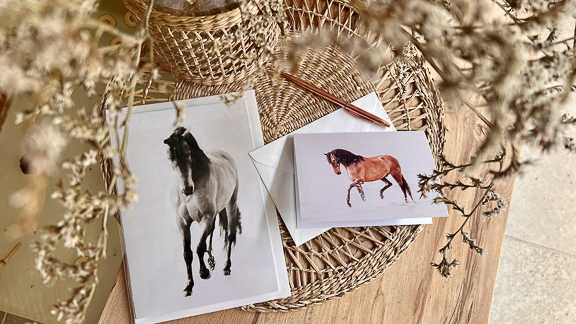 Greetings Cards