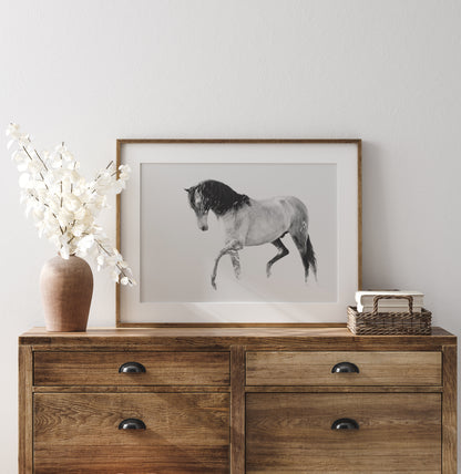Cascade Of Freedom