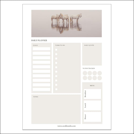 Downloadable Daily Planner
