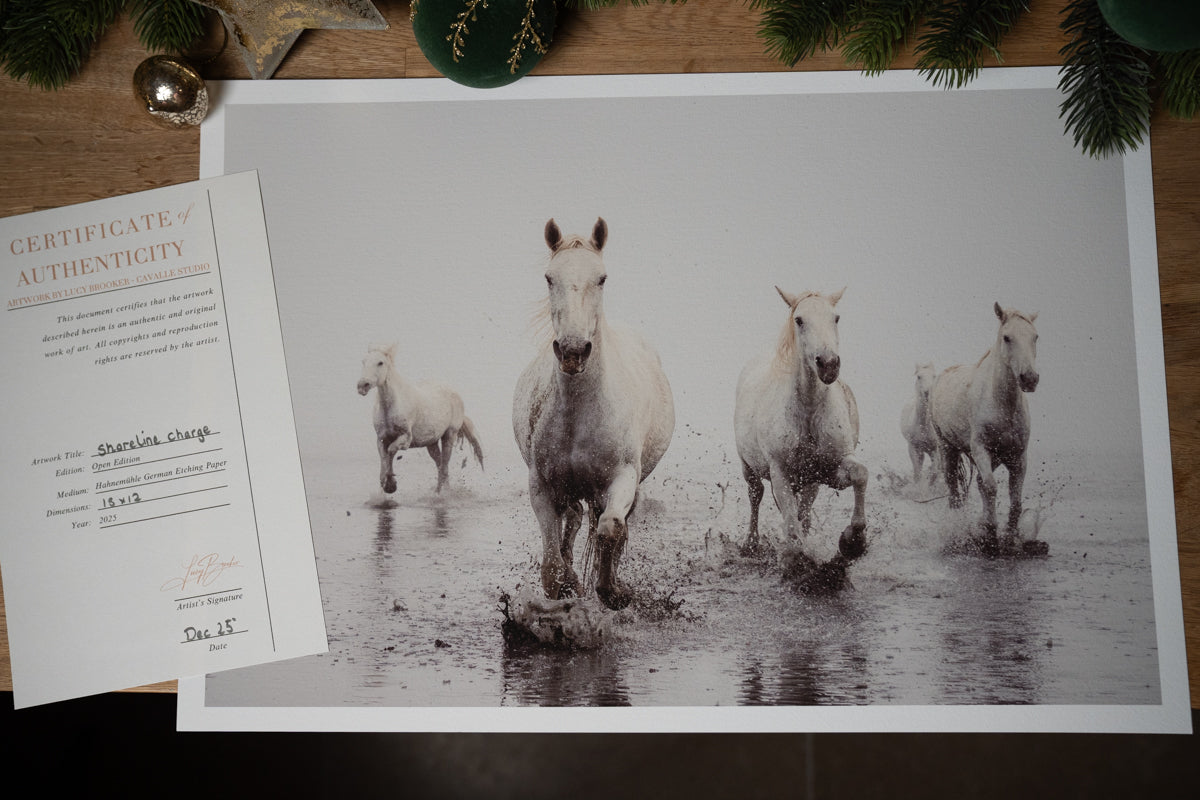 Ocean Gaze - Shoreline Charge