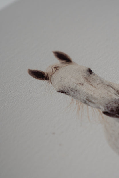 Ocean Gaze - Shoreline Charge