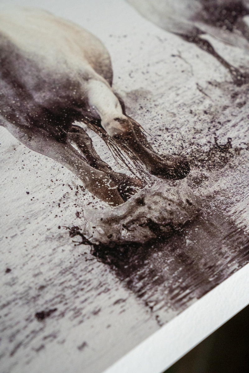 Ocean Gaze - Shoreline Charge