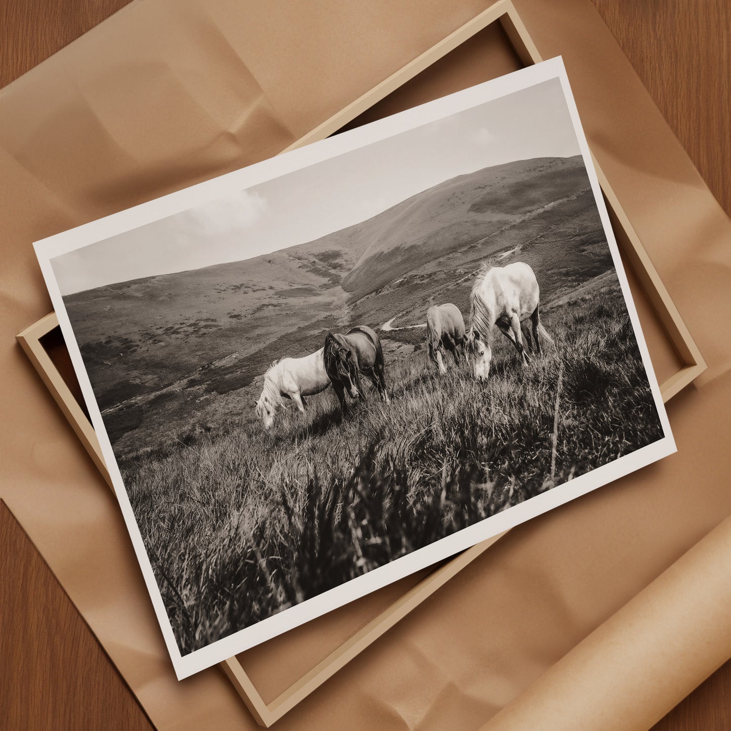 Wild Natives 1