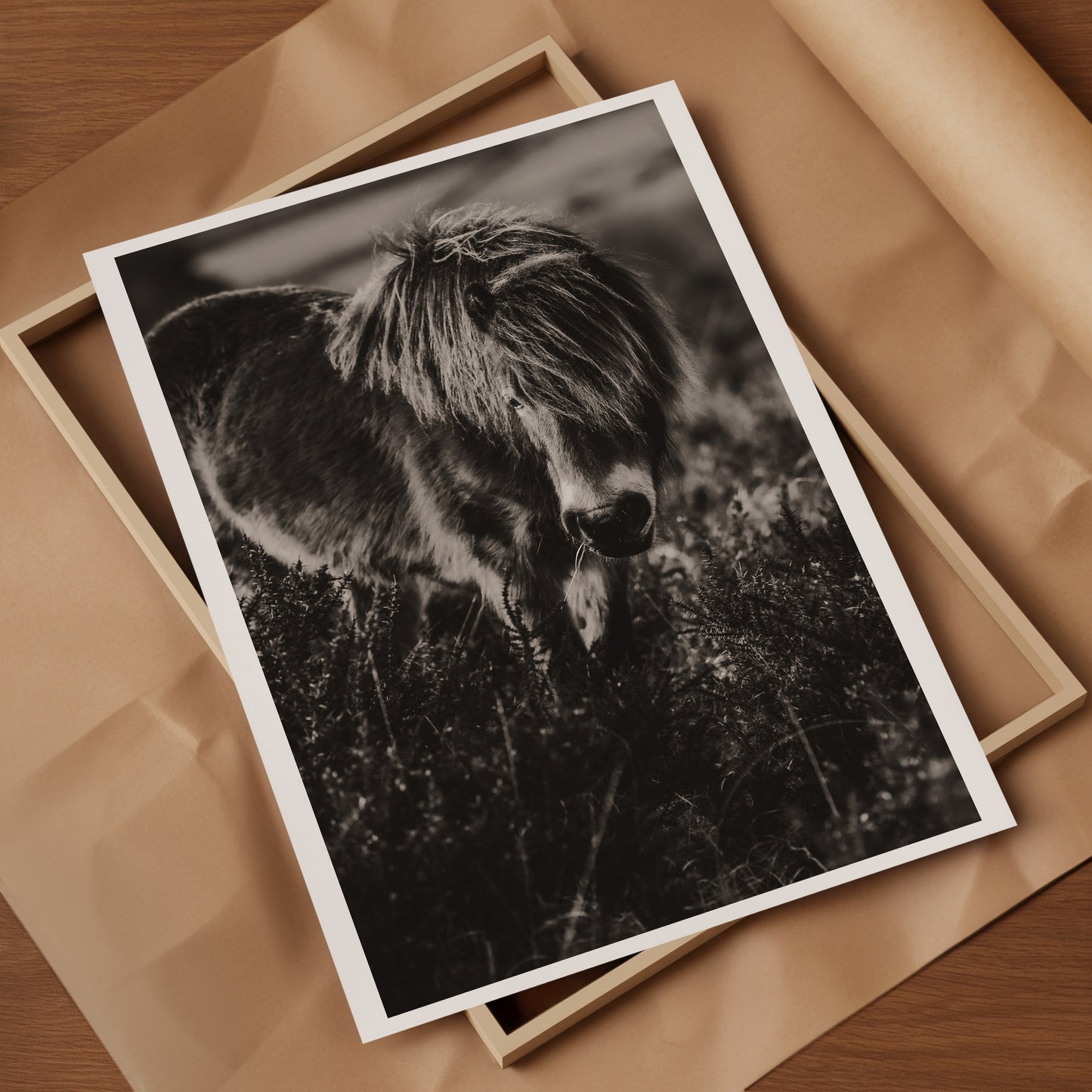 Wild Natives 4