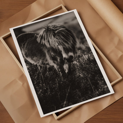 Wild Natives 4