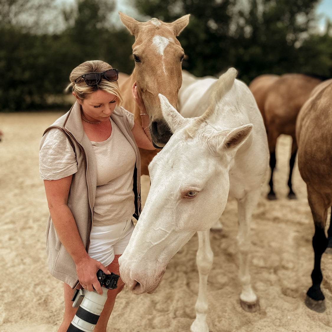 Woman with a camera interacting with two horses in an outdoor setting