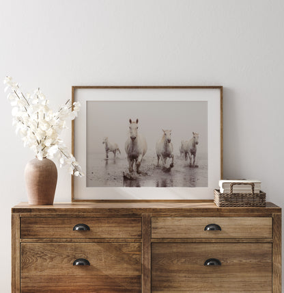 Ocean Gaze - Shoreline Charge